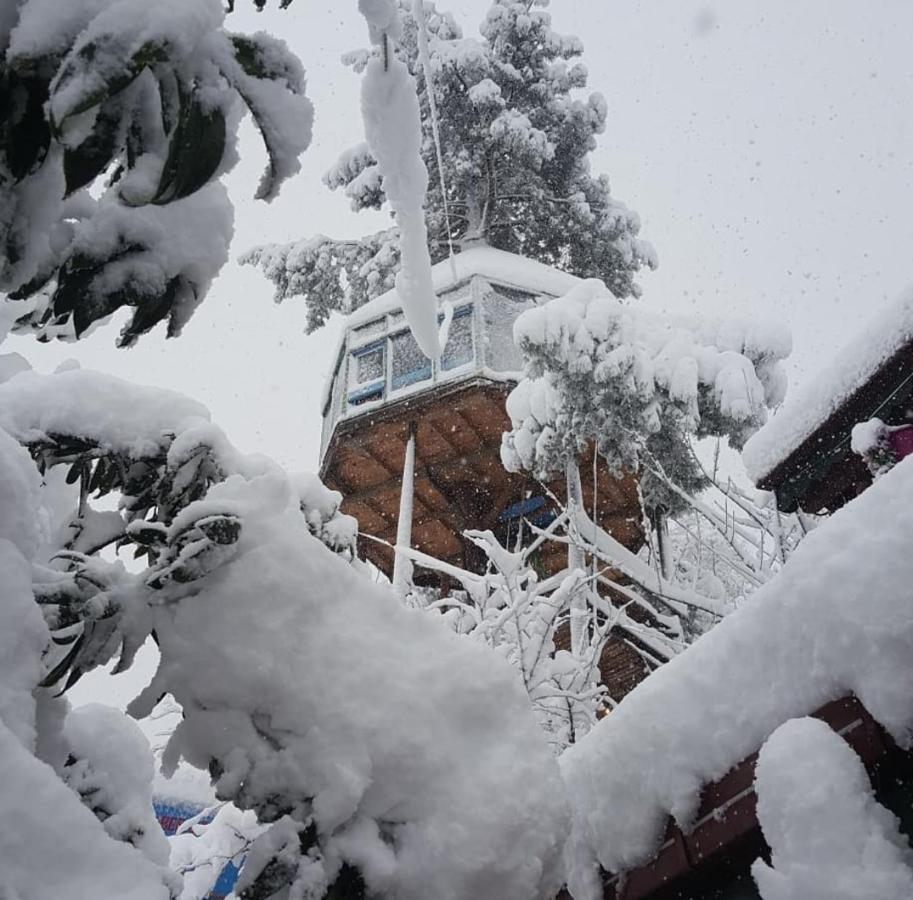 Olimbera Köy Evi Bed and Breakfast Artvin Exteriör bild