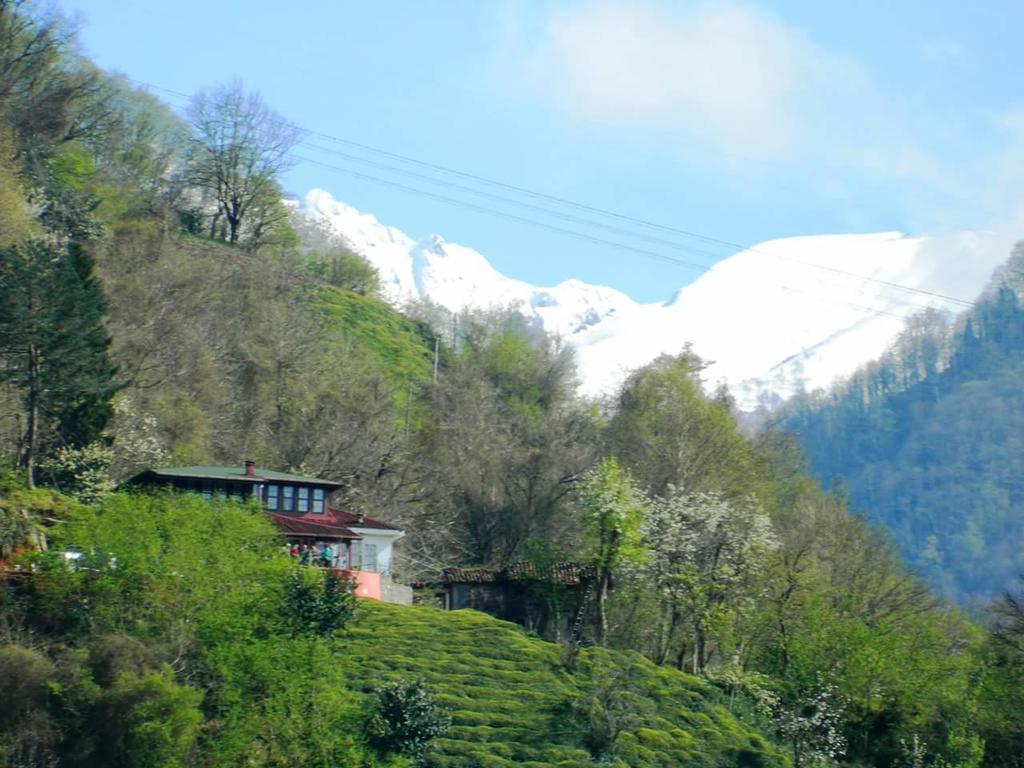 Olimbera Köy Evi Bed and Breakfast Artvin Exteriör bild